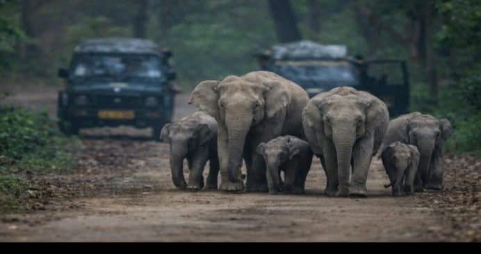 Jim Corbett